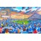Elm Park Stadium Fine Art Print - Reading FC